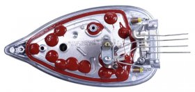 Clamp Level - Ss-1810031528 Soleplate Complete Dw70 [Groupe SEB]