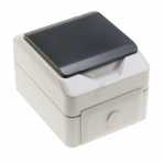 Asci Surface Mounting Socket - Fsd 100 Moisture-proof Outlet, 1 Way, Ip 44 Ap - Grey
