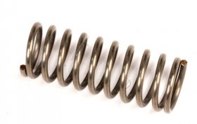 Spring - 1184504015 Spring Knob Bac [Electrolux Aeg]